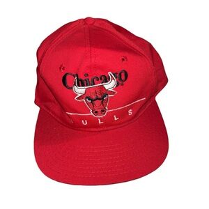 Vintage Chicago Bulls Twins Enterprise  Snapback Hat Cap